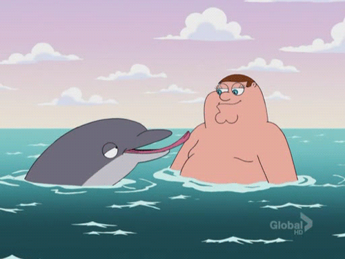 tumblr_mefj57tp9D1rkvtbko1_500.gif