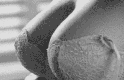 tumblr_mqjpa6t6PZ1rlire8o1_500.gif