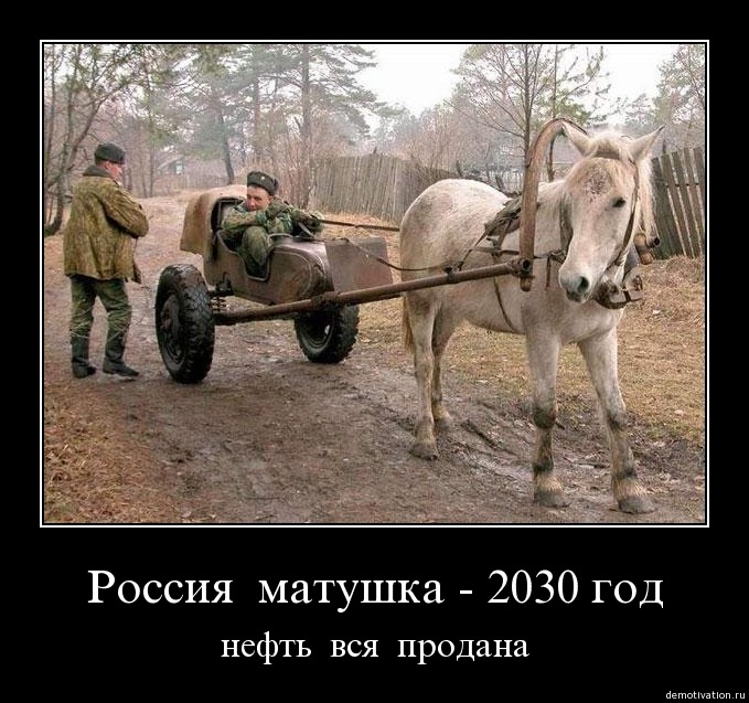u8ko3prqrh52.jpg