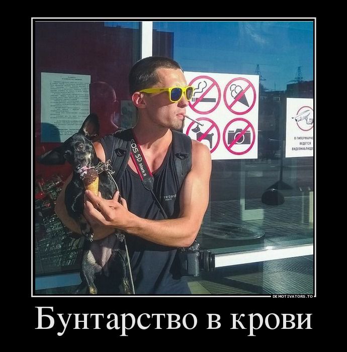 uboynye_demotivatory_svegie_prikoly_foto_09.jpg