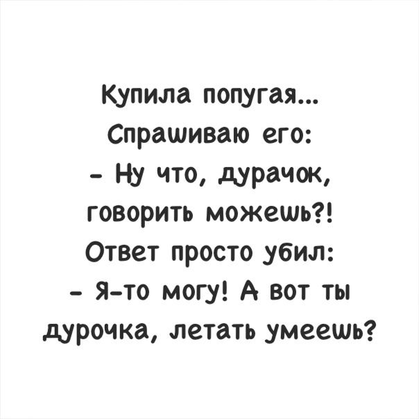 Умный попугай.jpeg