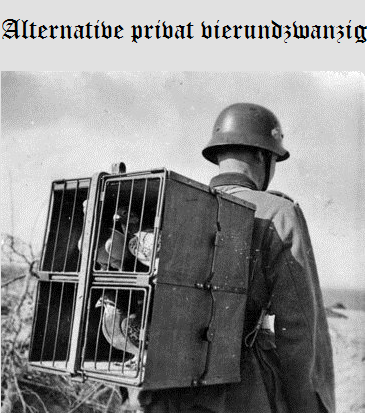 untitled.png