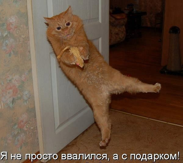 untitled.png