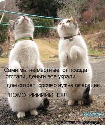 upload_2015-1-10_0-12-35.jpeg