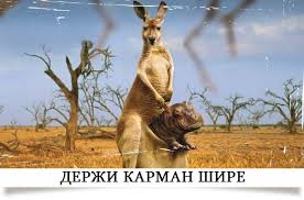 upload_2015-10-30_21-7-0.jpeg
