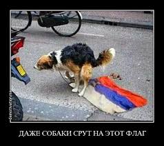 upload_2015-2-5_14-3-47.jpeg