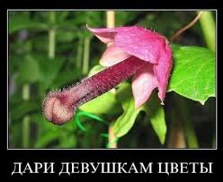 upload_2015-3-7_22-35-22.jpeg