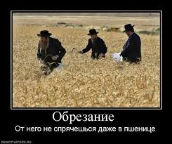 upload_2015-5-19_19-22-13.jpeg