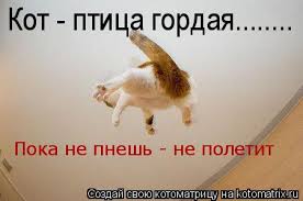 upload_2016-1-19_13-37-30.jpeg