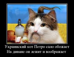upload_2016-6-8_17-12-48.jpeg