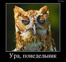 upload_2016-8-22_5-35-31.jpeg