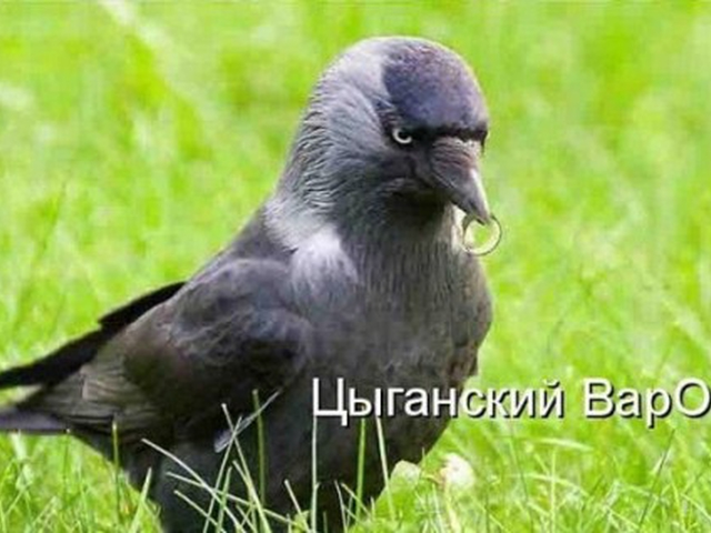 upload_2016-9-20_13-36-28.png