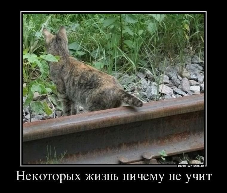 upload_2016-9-26_13-7-35.png