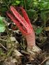upload_2017-10-23_13-55-46.jpeg