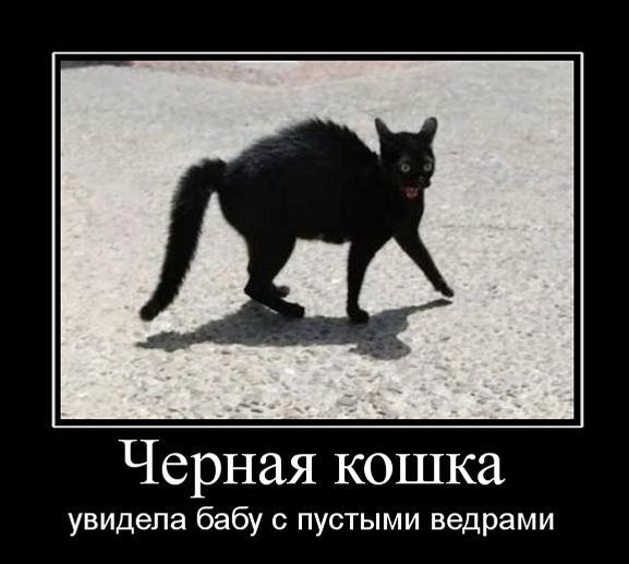 upload_2017-12-8_14-29-2.jpeg
