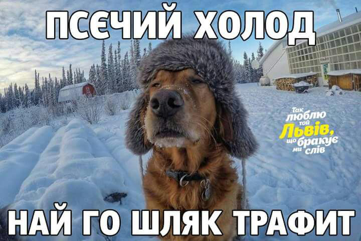upload_2018-2-26_9-48-29.png