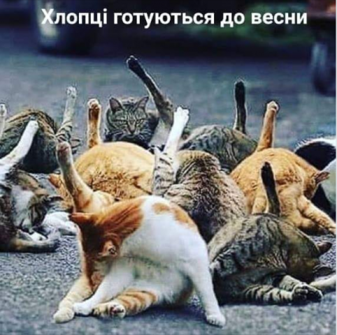 upload_2019-2-24_13-48-45.thumb.png.88fd9a58aceb8a19427259ebb05c7347.png