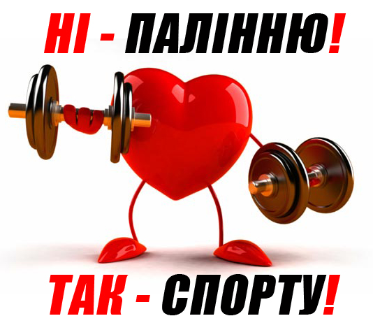 upload_2019-5-31_14-2-57.png