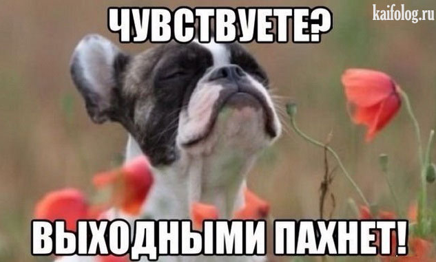 upload_2019-5-3_9-24-9.png