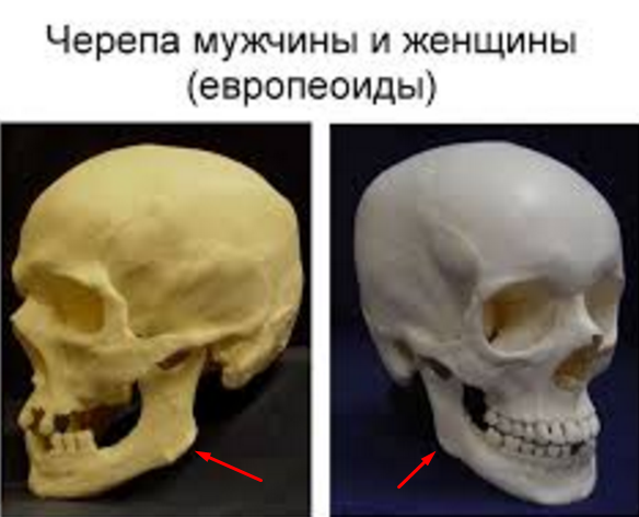 upload_2019-8-22_14-47-4.png