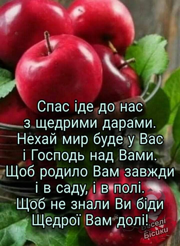 upload_2020-8-19_8-34-24.png