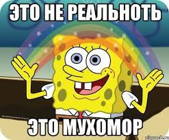 upload_2022-1-6_20-25-0.jpeg