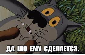 upload_2022-2-21_19-15-45.jpeg