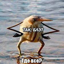 upload_2022-2-3_16-21-42.jpeg