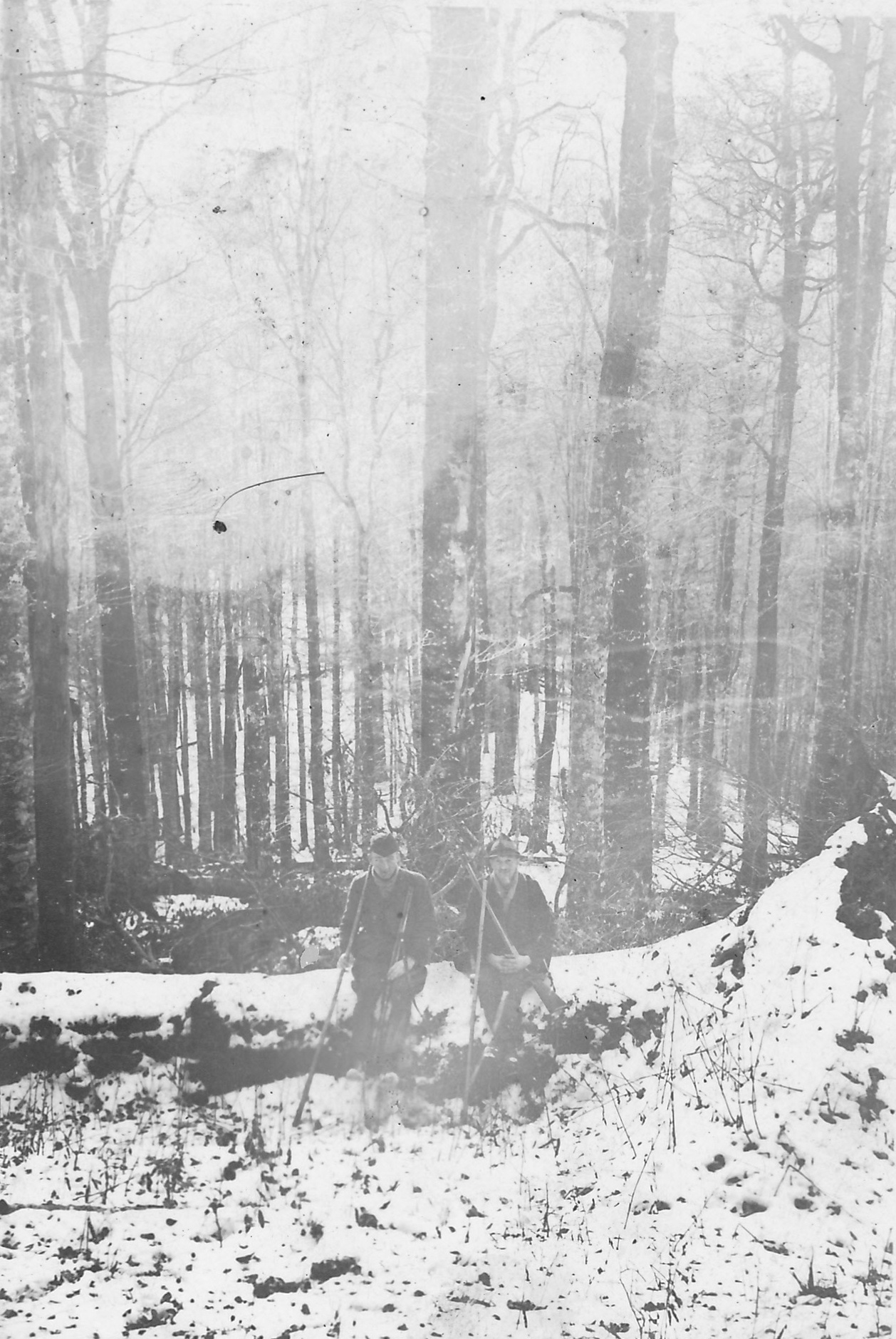 upload_2023-5-2_11-30-21.jpeg