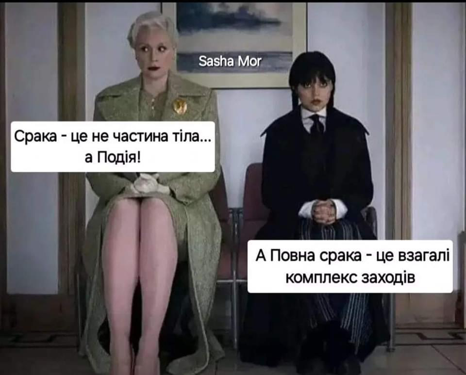 upload_2024-10-1_21-13-6.png