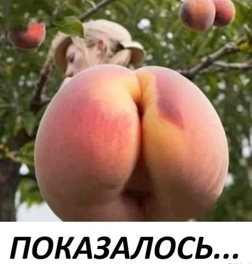 upload_2024-12-18_14-47-51.jpeg