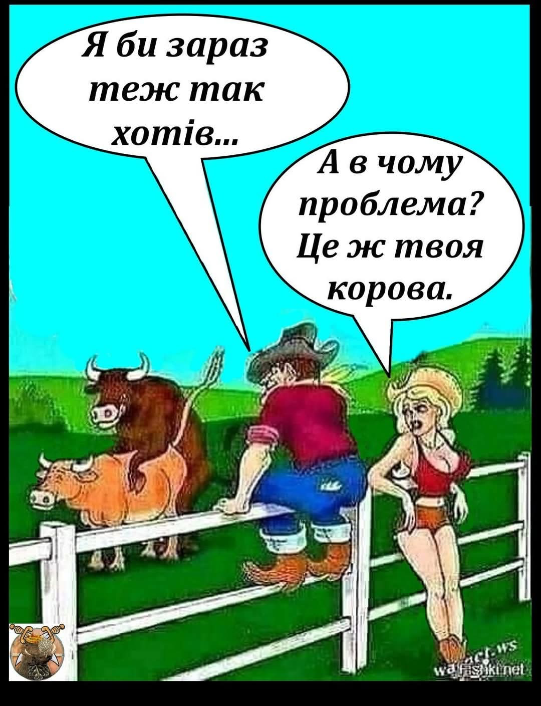 upload_2025-5-4_17-39-59.png