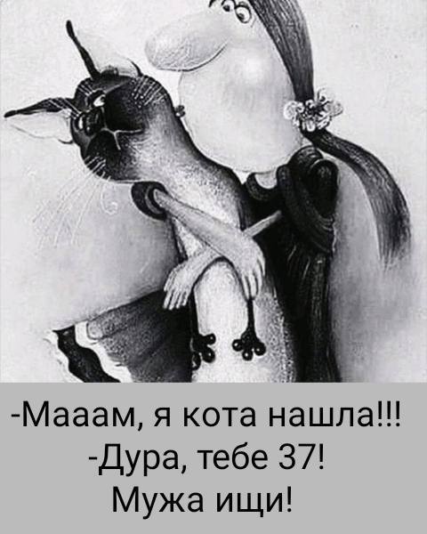 upload_2026-3-25_20-36-56.jpeg