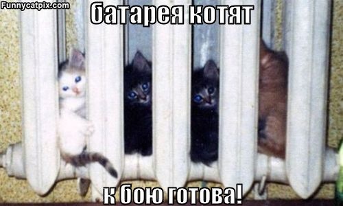 ьurl.jpeg
