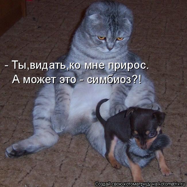 url111.jpg