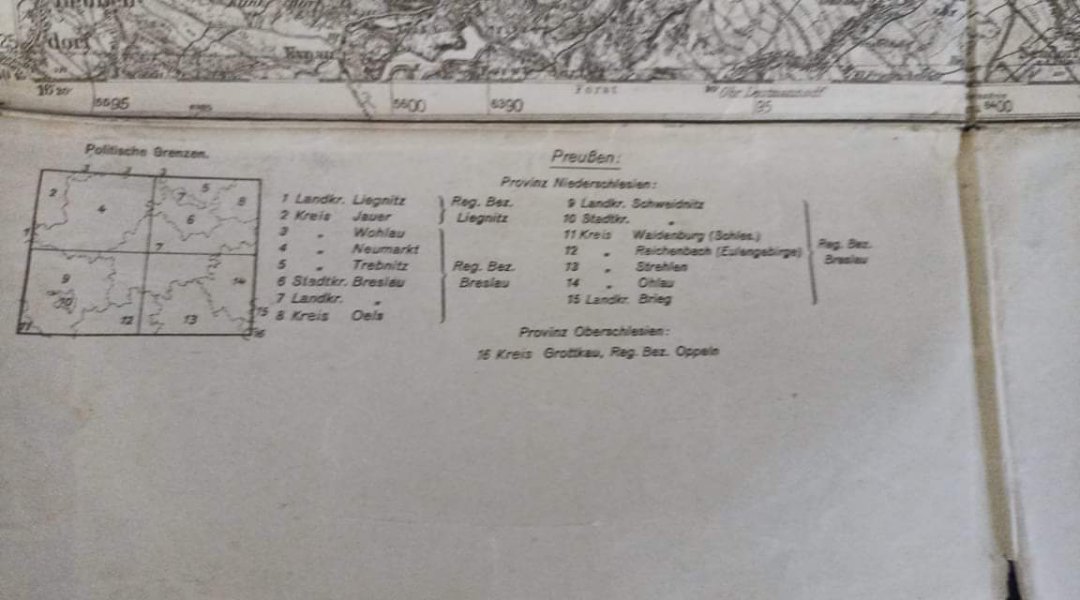 USER_SCOPED_TEMP_DATA_orca-image-2032623719.jpeg