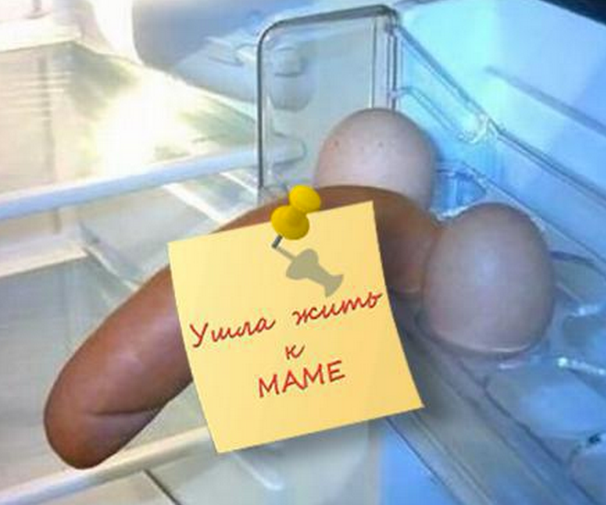 Пустые яйца у мужчин. Смешные яйца. Яйца в холодильнике. Смешные яйца в холодильнике.