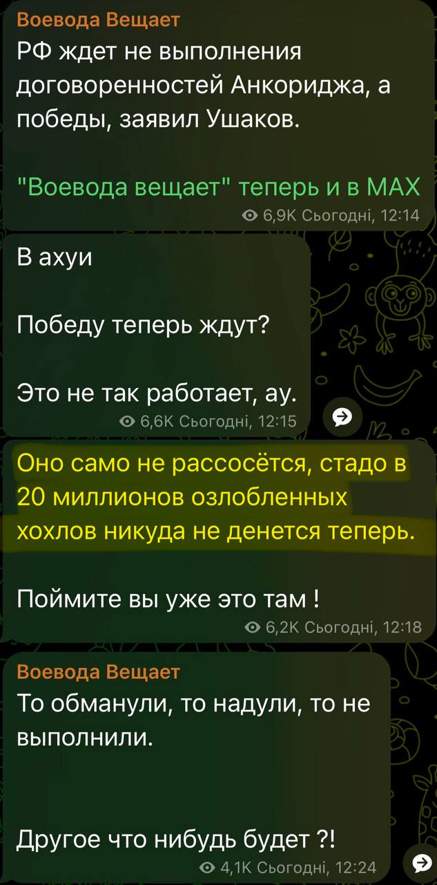 в.jpg