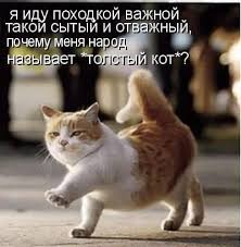 важный.jpg