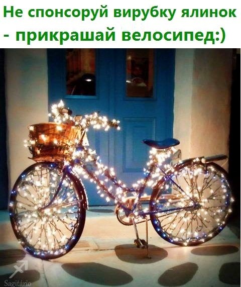 Велоелка.jpg
