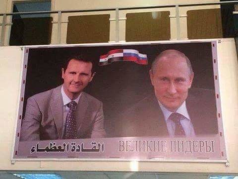 велпид.jpg