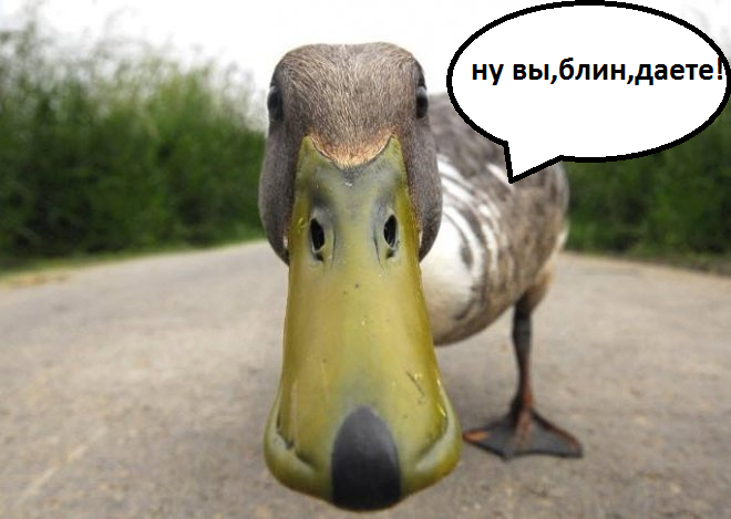 вер.png