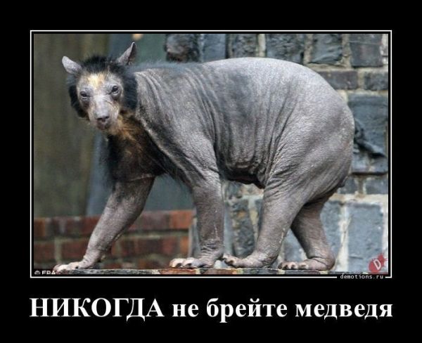 Весёлые-демотиваторы-31.jpg