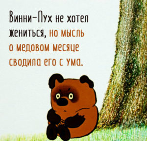 Вини.jpg