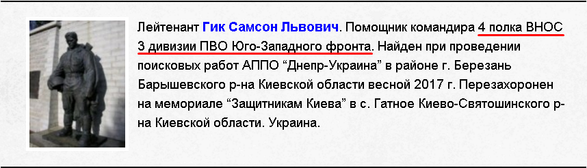 ВНОС Гик.png