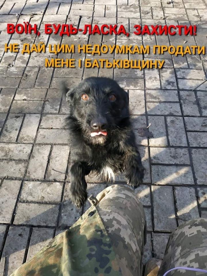 воїн.jpg