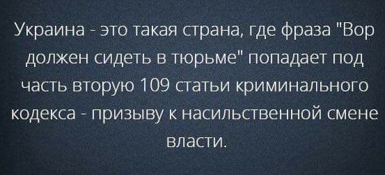 Вор должен сидеть.jpg