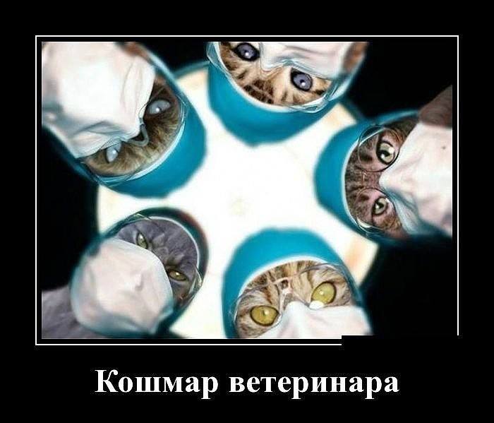 врачи.jpg