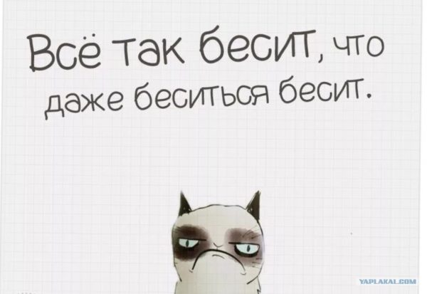 все.jpg