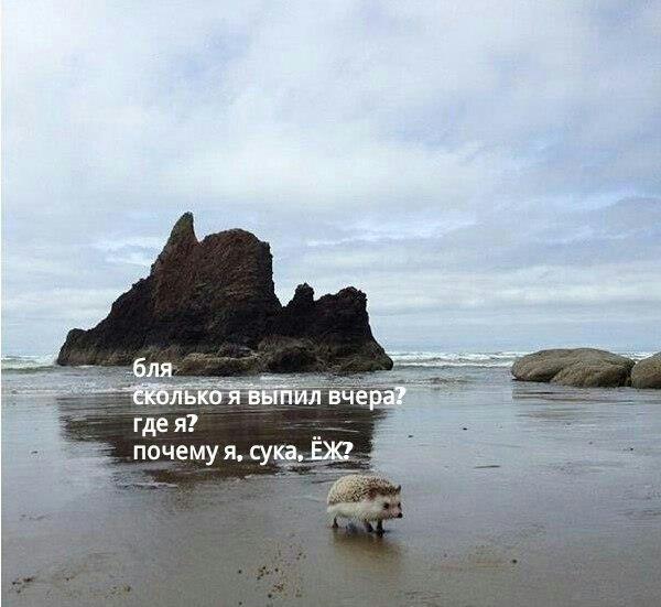 всех-с-пятницей!-пятница-2248904.jpeg